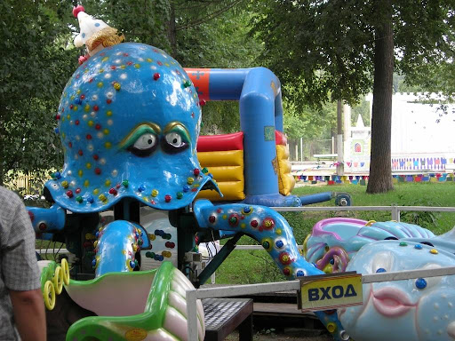 Bizarre Stuff for Kids Bizarre Stuff for Kids